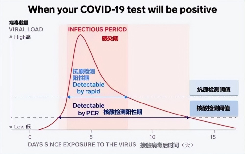 新冠陽了后，抗原需要天天做嗎？一看你就明白