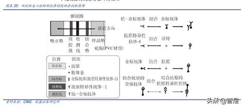 萬泰生物研究報(bào)告 公司綜合實(shí)力強(qiáng)勁,hpv疫苗驅(qū)動(dòng)高速增長
